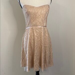 Devlin Satin lace strapless midi dress romantic feminine Champagne hue SZ LG